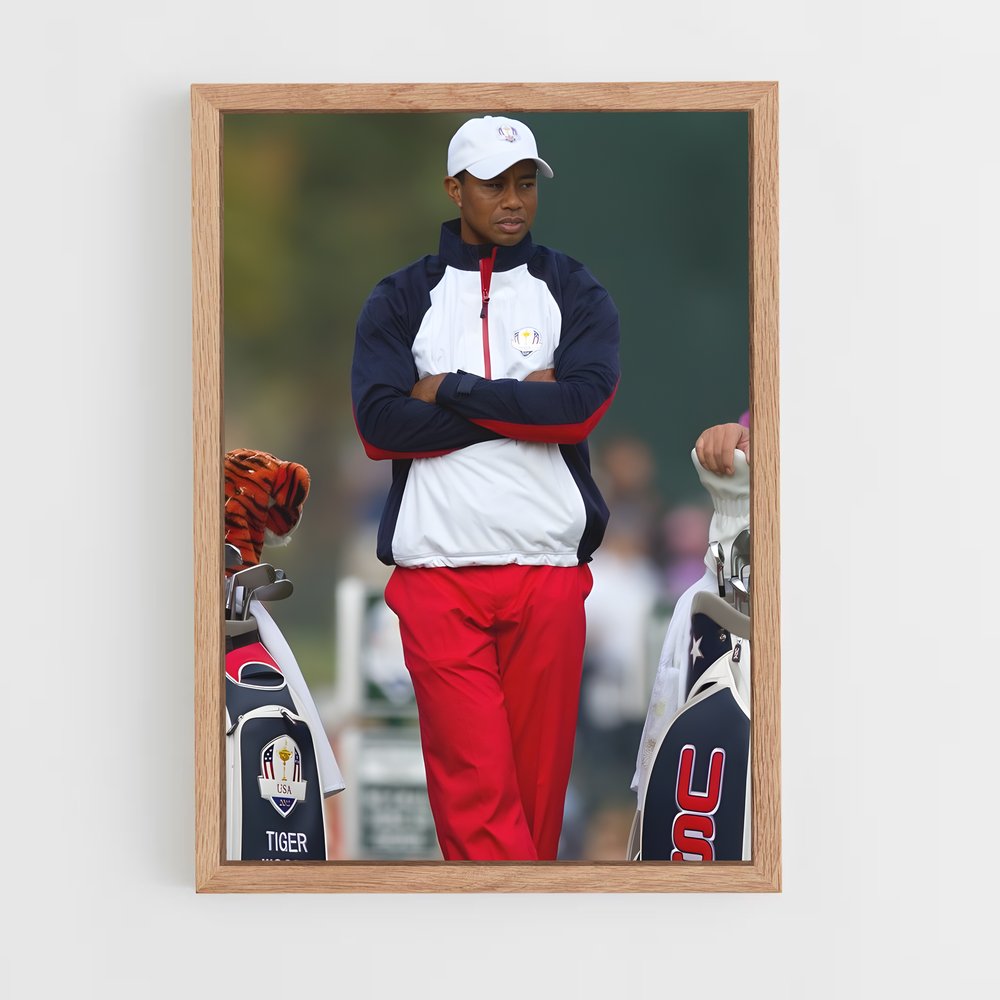 Poster Duel de Tigres – affiche Golf (vue 4)